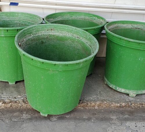 Flora Pot Pro 3 GALLON POT Green Pots